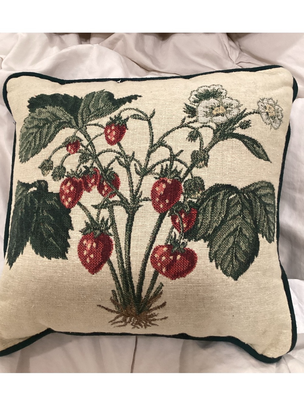 Strawberry Botanical Needlepoint Pillow 12”X12” NWT